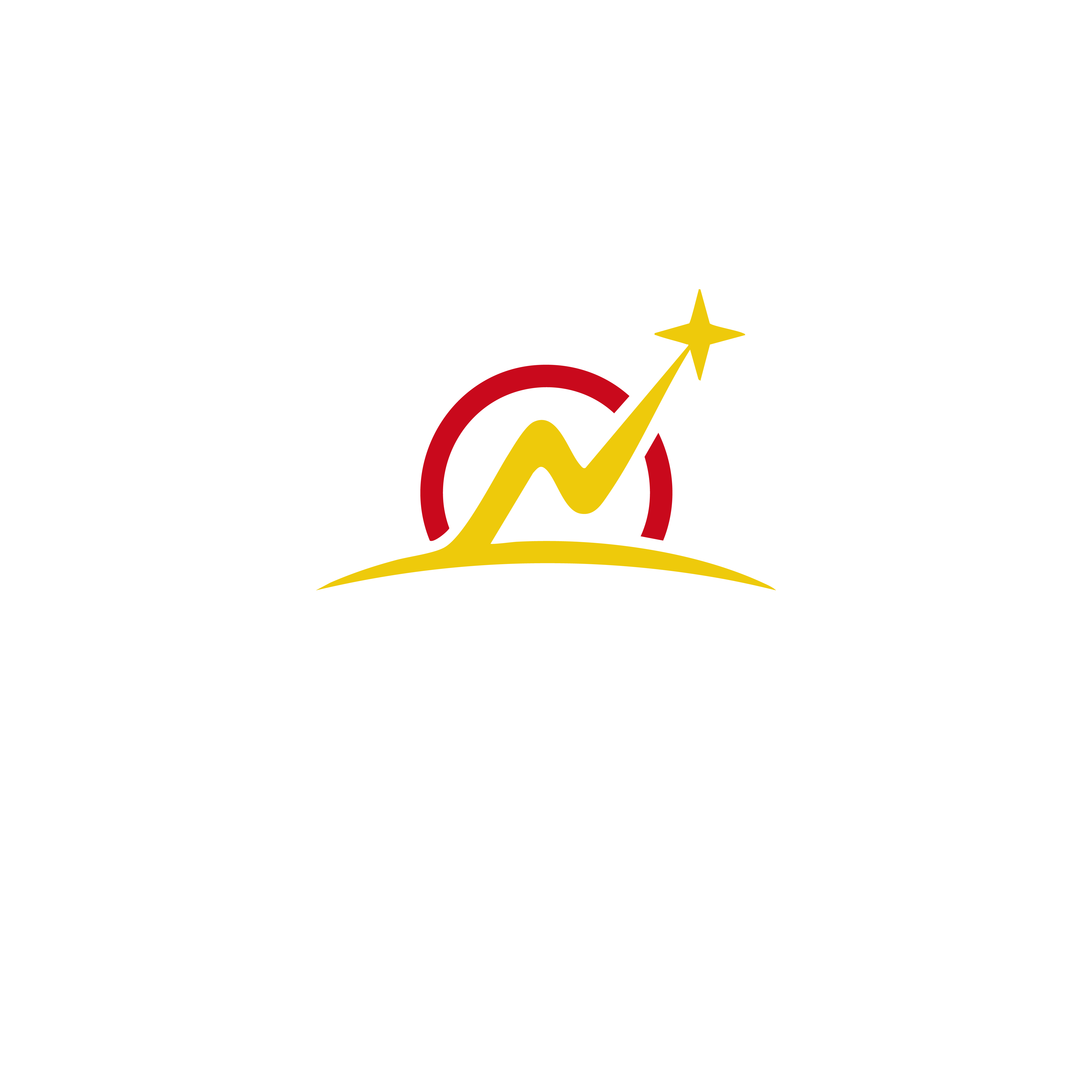 Logo Club CTNET